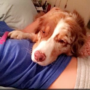 Meet your Posher, Alisha